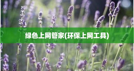 绿色上网管家(环保上网工具)