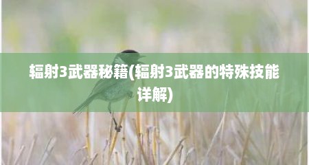 辐射3武器秘籍(辐射3武器的特殊技能详解)