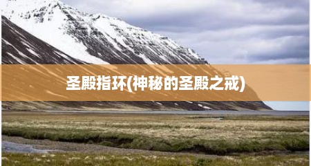 圣殿指环(神秘的圣殿之戒)