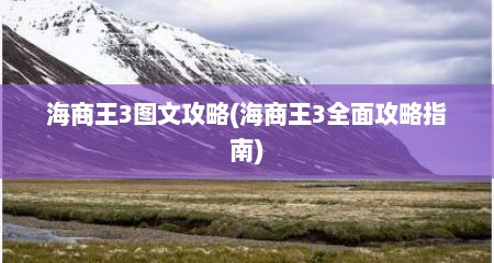 海商王3图文攻略(海商王3全面攻略指南)