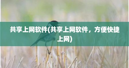 共享上网软件(共享上网软件，方便快捷上网)