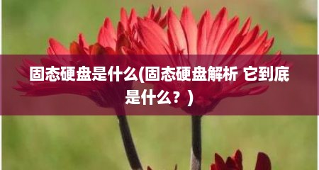 固态硬盘是什么(固态硬盘解析 它到底是什么？)