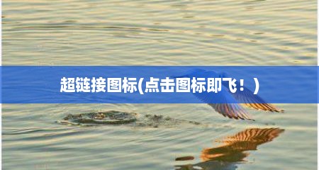 超链接图标(点击图标即飞！)