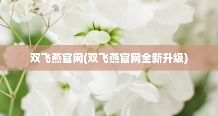 双飞燕官网(双飞燕官网全新升级)