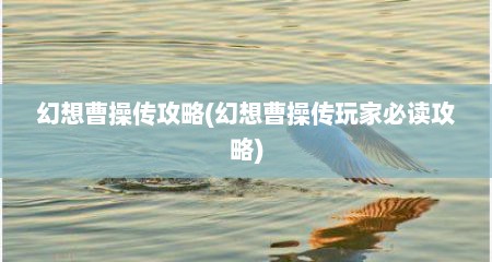 幻想曹操传攻略(幻想曹操传玩家必读攻略)