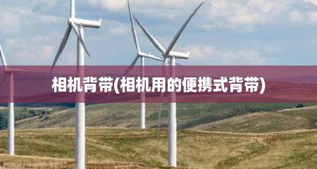 相机背带(相机用的便携式背带)