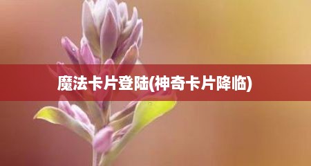 魔法卡片登陆(神奇卡片降临)