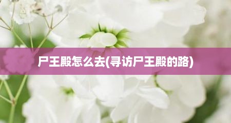 尸王殿怎么去(寻访尸王殿的路)