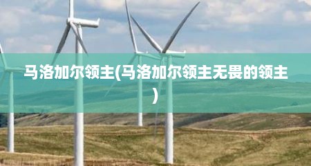 马洛加尔领主(马洛加尔领主无畏的领主)
