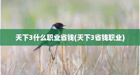 天下3什么职业省钱(天下3省钱职业)