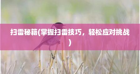 扫雷秘籍(掌握扫雷技巧，轻松应对挑战)