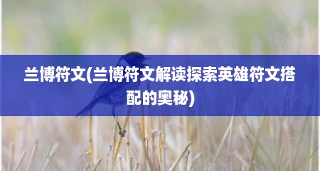 兰博符文(兰博符文解读探索英雄符文搭配的奥秘)