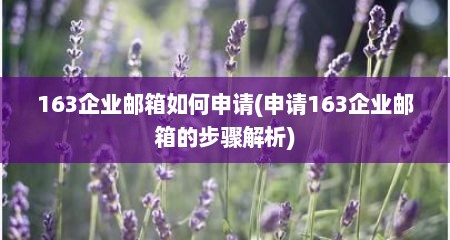 163企业邮箱如何申请(申请163企业邮箱的步骤解析)