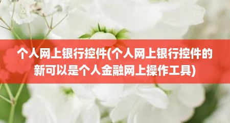 个人网上银行控件(个人网上银行控件的新可以是个人金融网上操作工具)