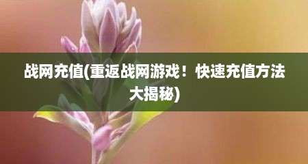 战网充值(重返战网游戏！快速充值方法大揭秘)