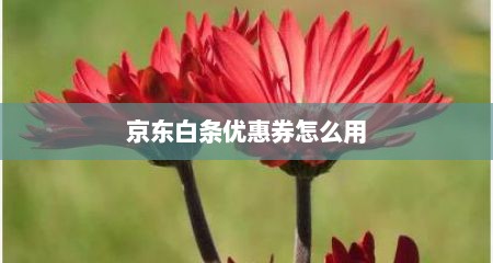 京东白条优惠券怎么用