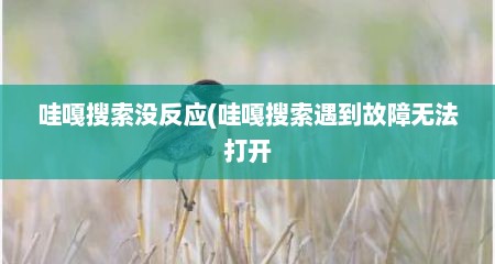 哇嘎搜索没反应(哇嘎搜索遇到故障无法打开