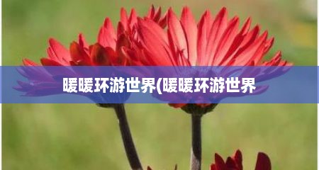 暖暖环游世界(暖暖环游世界