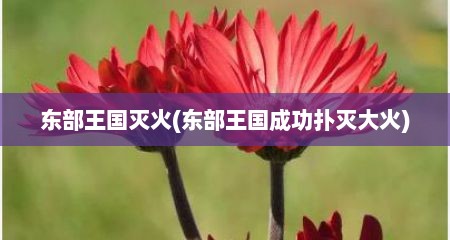 东部王国灭火(东部王国成功扑灭大火)
