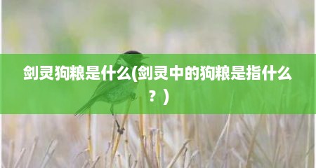 剑灵狗粮是什么(剑灵中的狗粮是指什么？)