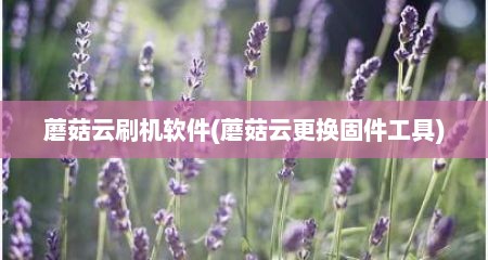 蘑菇云刷机软件(蘑菇云更换固件工具)