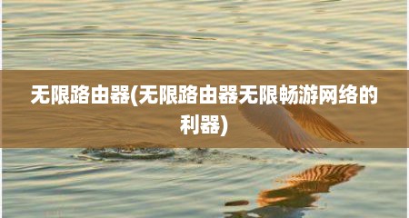 无限路由器(无限路由器无限畅游网络的利器)