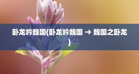 卧龙吟魏国(卧龙吟魏国 → 魏国之卧龙)
