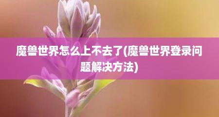 魔兽世界怎么上不去了(魔兽世界登录问题解决方法)
