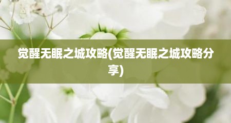 觉醒无眠之城攻略(觉醒无眠之城攻略分享)