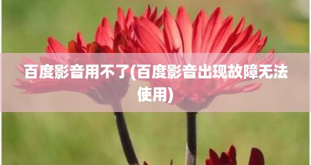 百度影音用不了(百度影音出现故障无法使用)