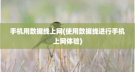 手机用数据线上网(使用数据线进行手机上网体验)