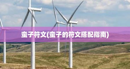 蛮子符文(蛮子的符文搭配指南)