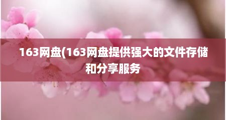 163网盘(163网盘提供强大的文件存储和分享服务