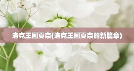 洛克王国夏奈(洛克王国夏奈的新篇章)