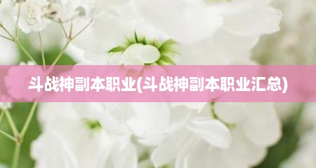 斗战神副本职业(斗战神副本职业汇总)