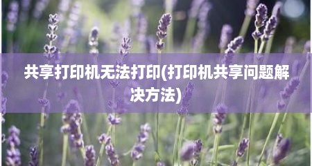 共享打印机无法打印(打印机共享问题解决方法)