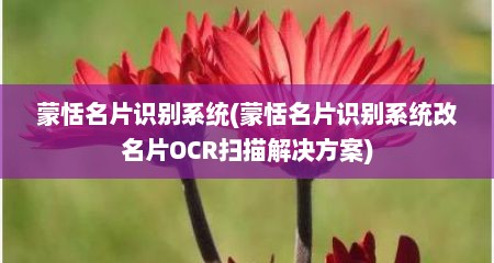 蒙恬名片识别系统(蒙恬名片识别系统改名片OCR扫描解决方案)