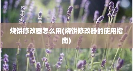 烧饼修改器怎么用(烧饼修改器的使用指南)
