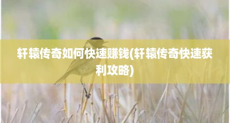 轩辕传奇如何快速赚钱(轩辕传奇快速获利攻略)