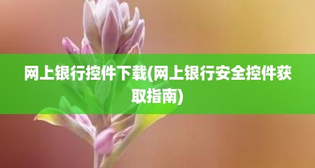 网上银行控件下载(网上银行安全控件获取指南)