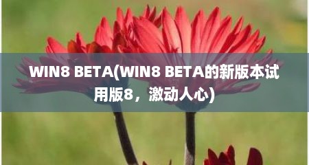WIN8 BETA(WIN8 BETA的新版本试用版8，激动人心)
