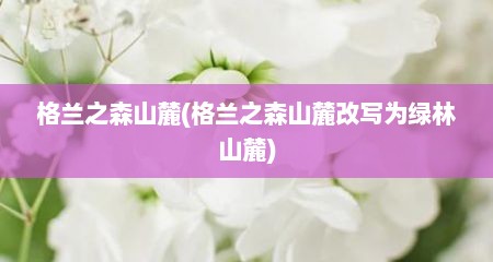格兰之森山麓(格兰之森山麓改写为绿林山麓)