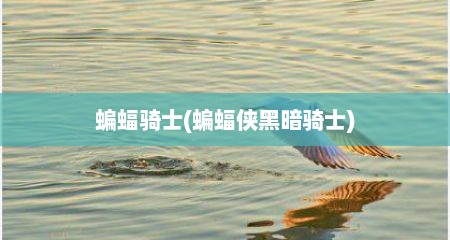 蝙蝠骑士(蝙蝠侠黑暗骑士)