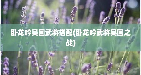 卧龙吟吴国武将搭配(卧龙吟武将吴国之战)