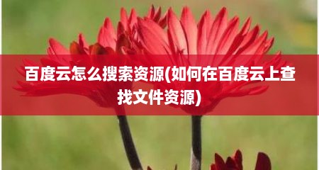 百度云怎么搜索资源(如何在百度云上查找文件资源)