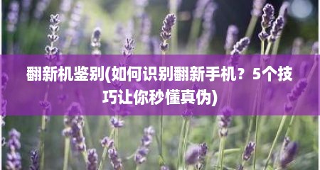 翻新机鉴别(如何识别翻新手机？5个技巧让你秒懂真伪)