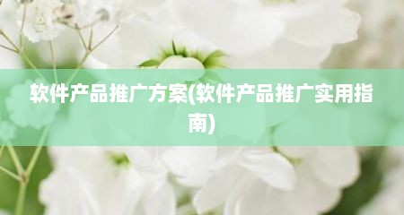 软件产品推广方案(软件产品推广实用指南)