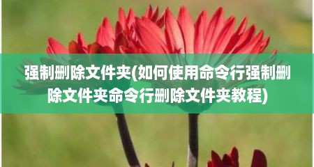 强制删除文件夹(如何使用命令行强制删除文件夹命令行删除文件夹教程)