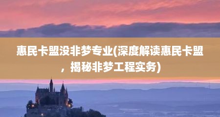 惠民卡盟没非梦专业(深度解读惠民卡盟，揭秘非梦工程实务)