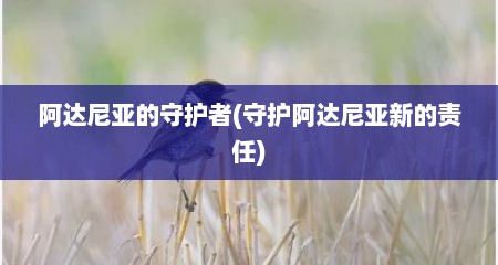 阿达尼亚的守护者(守护阿达尼亚新的责任)